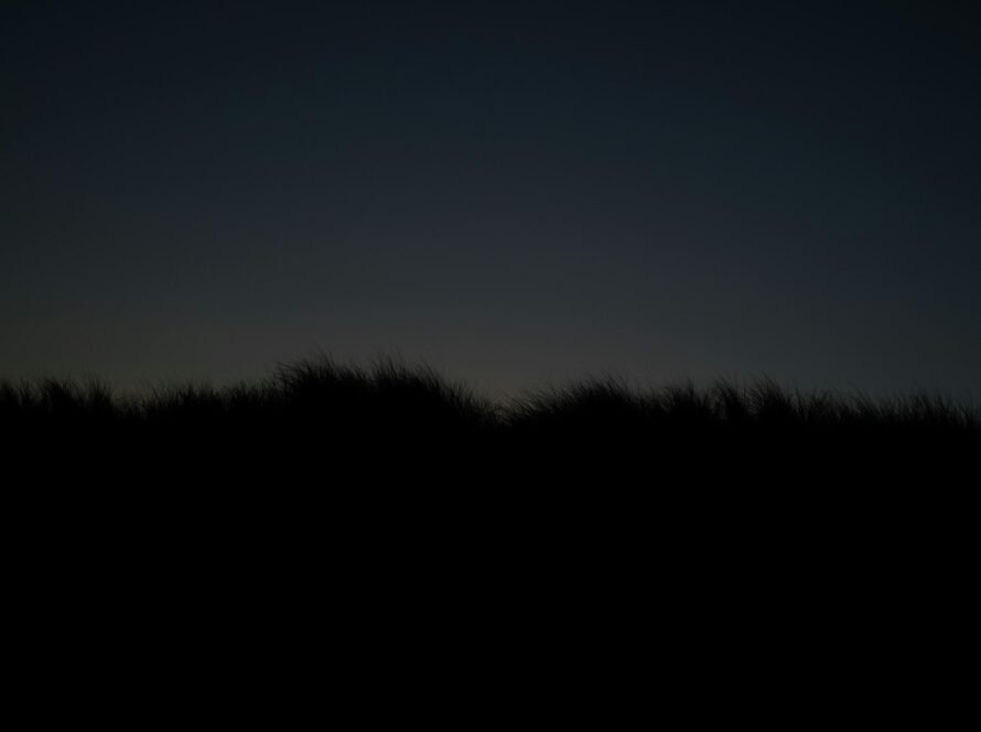 a silhouette of a grass field at night