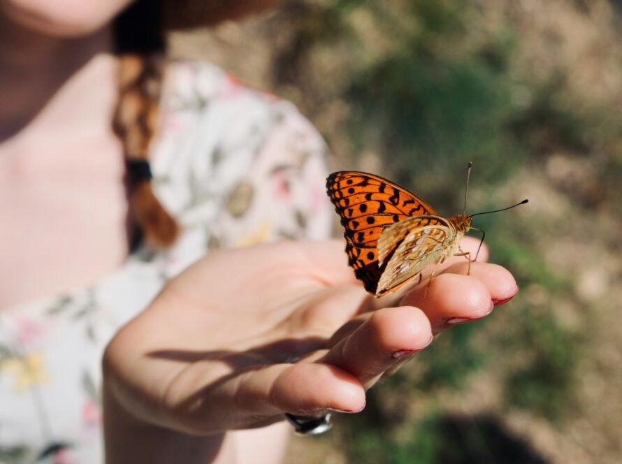 a butterfly on a person's hand