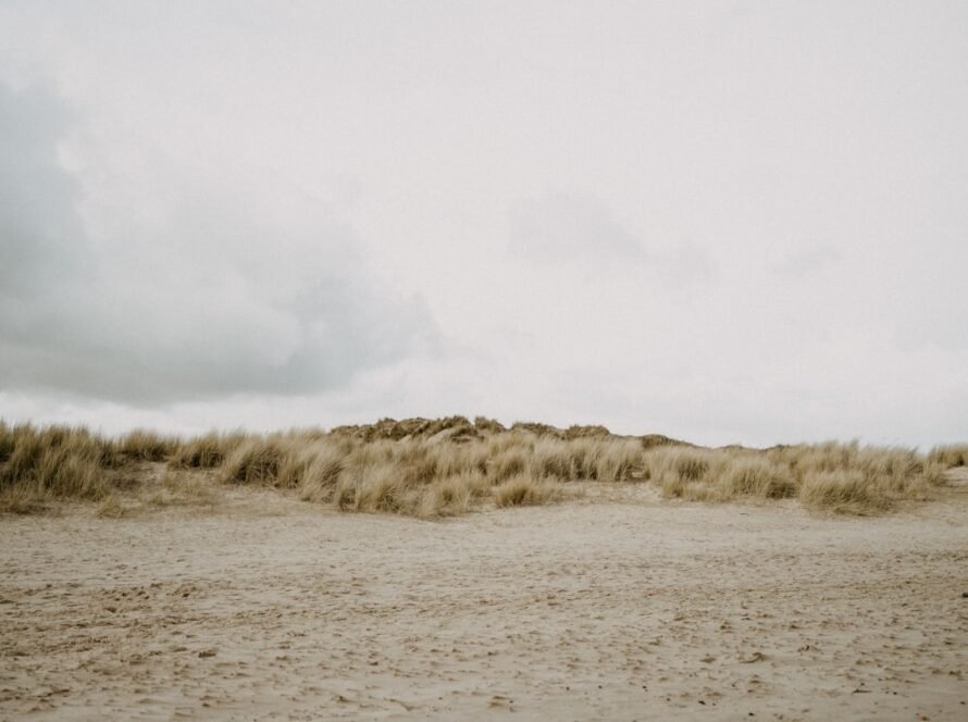 a sandy area with grass and a cloudy sky