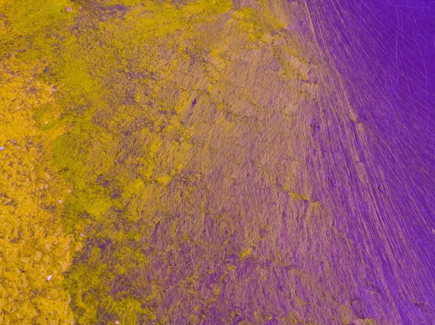 a purple and yellow paint