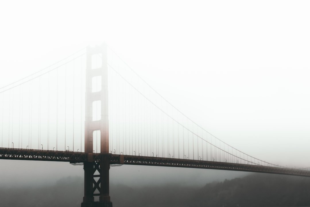 Photo Bridge