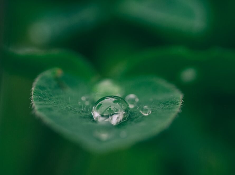 Photo Sustainability